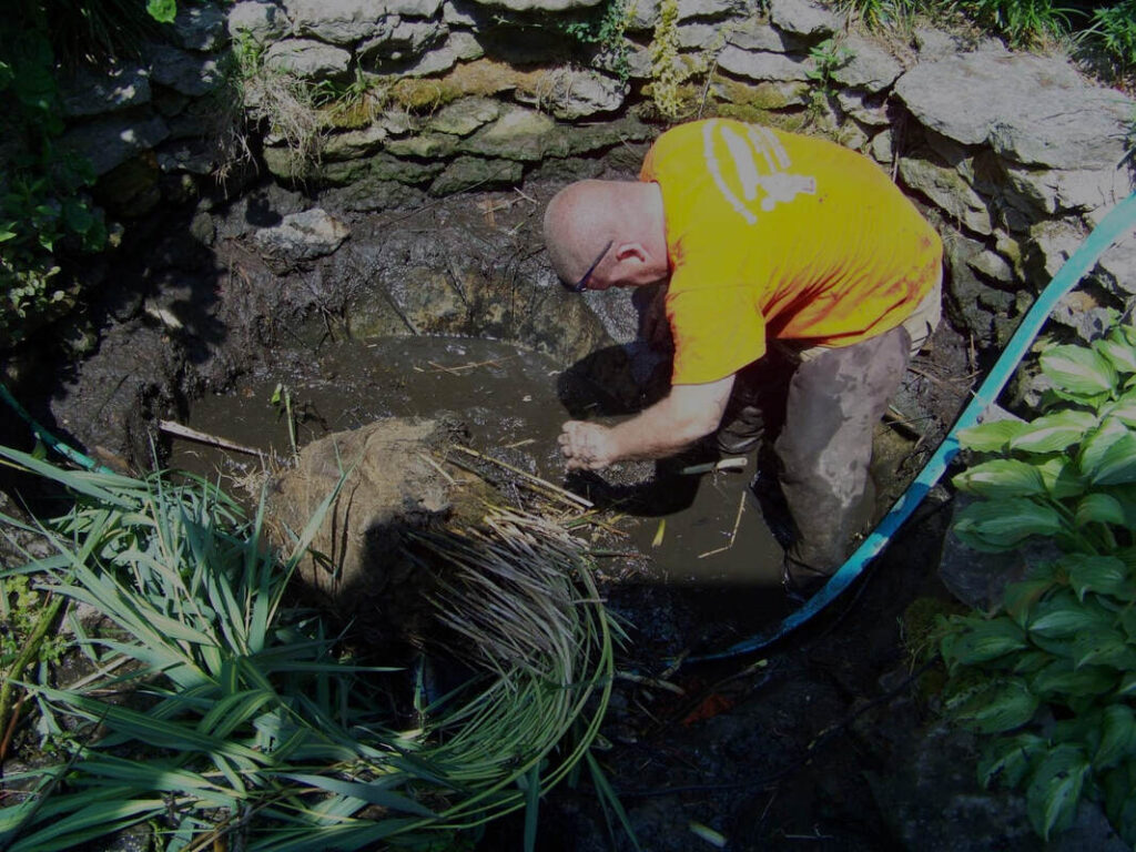 General Pond Maintenance